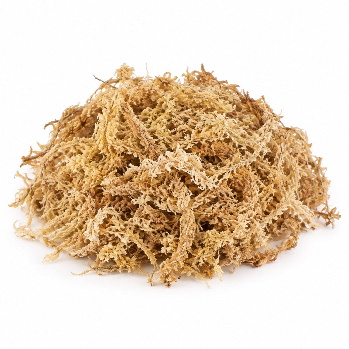 Trockenes Sphagnum-Moos für Stecklinge und Aroiden